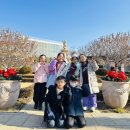 등대로L 이미지