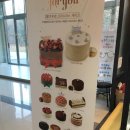 투썸플레이스포항공대점 | 포항 투썸플레이스 포항공대점! 투썸 홀케이크 예약 후 수령~(TWG 티 판매!)