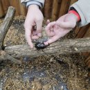 여주곤충박물관 이미지