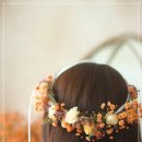 DSLR 취미반 네이버블로그