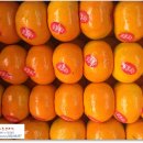 경보상회 이미지