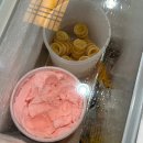 여기맛나 | [밀양/삼문동] 밀양에서 해장은 여기서 하실게요. '맛나 감자탕 밀양삼문점' 후기 🍲