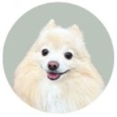 명금당 | 부산 동래구 금은방•귀금속점 &#39;명금당&#39; 내돈내산 후기💎