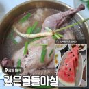 깊은골 | 경북 김천 삼복 맞이 삼계탕 <깊은골들마실> 내돈내산 후기