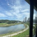 낙지세상 이미지