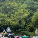 메타포레스트 이미지