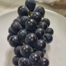 복중농장 이미지