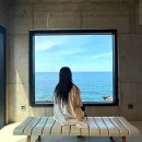 카페브런치 | 애월 오션뷰 카페 , 새물 ( 브런치 후기 ) 🩵