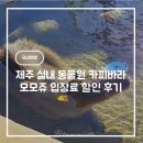 카피바라 | 제주 실내 동물원 카피바라 모모쥬 입장료 할인 후기