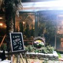 들꽃사랑 이미지