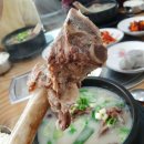 홍삼품은낙지