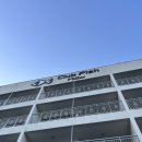 애견클럽 | 가평 남이섬 펜션 클럽피쉬빌라스 애견동반 펜션 후기 &amp; 모두의송어