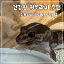 귀뚜라미먹이 추천 | 귀뚜라미 프로젝트 이용후기