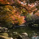 칠백의총 이미지