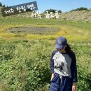 금오름농장 | 제주 명소:: 서쪽 가볼만한곳 오름 추천 한림 핫플 인생샷 소요시간 [금오름]