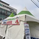 설향기념품 | 2026 논산 딸기축제 후기 (주차장, 딸기 가격, 성심당 줄, 먹거리, 토요일) | 🍓