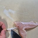 004-조리-004 | 004. 닭고기 이유식 큐브 만들기 (중기~후기 이유식용)