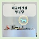 멍블랑 강아지분양 시흥배곧점 이미지