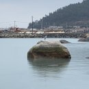 보길통리해수욕장 네이버블로그