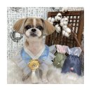 멍앤리치 이미지