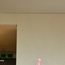 푸르미르 | [2025 화성] 화성 푸르미르 호텔 방문후기(리텐션 교육 + 융건릉)