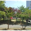 매정공원 이미지