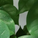 연세편한내과의원 이미지