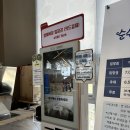 행복한 강아지 | [대관령 가볼만한곳] 대관령 순수양떼목장 - 아이와 강아지가 모두 행복한 힐링 스팟!