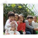 충현농장 네이버블로그