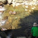 데미샘자연휴양림 이미지