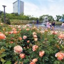 광주시청 이미지