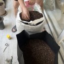 운정농약사 운정농원 이미지