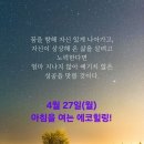 에코건강