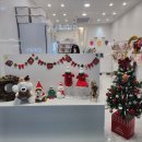 바이올독 푸드 이미지