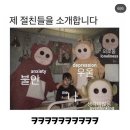 핸드폰 백업해야해서 급하게 쓰는, 작년말부터 현재까지 뭐하고지냈는지. 난 성격도 급하니까 대충 씀