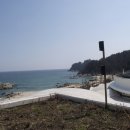 쏠피치 Daum카페