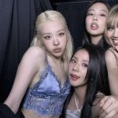 와이지 YG몰 네이버블로그