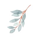 김종욱농장 이미지