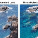 그랑프리안경콘택트 이미지