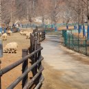 영광목장 1 이미지