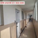 꽃대나리로 이미지