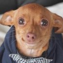 The Sol Hotel | 웬디 솔로콘서트 W:ealive in macau 마카오콘 관람 후기(+마카오 콘서트 가는법)