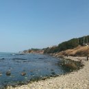 호미반도해안둘레길 이미지