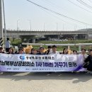 충남 성환천 충남신문