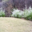 귀촌펜션 이미지