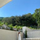 아프레투아 이미지