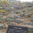 상화원 | [충남/보령] 아름다운 자연과 함께한 죽도 상화원 방문 후기 1편(2025.11.29.)