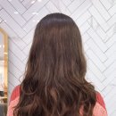 비비드 수헤어 이미지