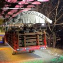 허브팜 | 경기도 야경 명소 포천 허브아일랜드 핑크반딧불