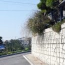 충혼탑 주차장 주변 이미지